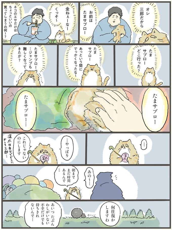 この世を去るとき飼い主の不幸を持っていける!? 老猫が選んだものは...／天国での暮らしはどうですか（4）