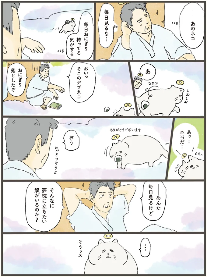 天国にいる猫が、飼い主の夢枕に立って「どうしても伝えたかったこと」／天国での暮らしはどうですか（3）