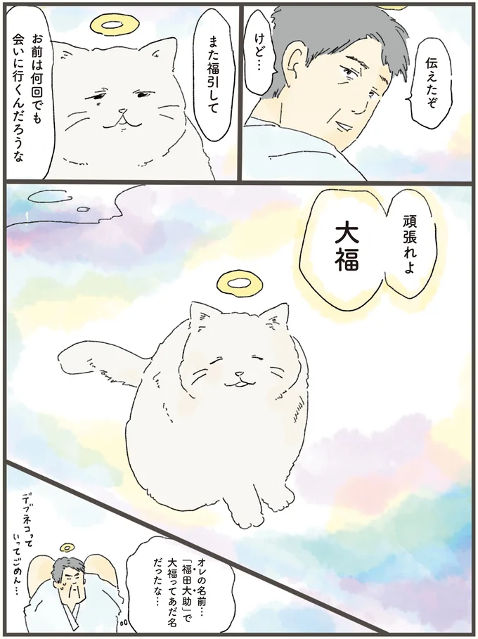 天国にいる猫が、飼い主の夢枕に立って「どうしても伝えたかったこと」／天国での暮らしはどうですか（11）