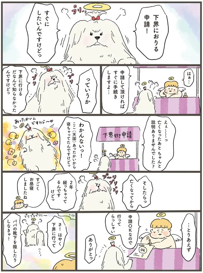 「え、誰？」天国にいる犬が、1日だけ飼い主夫婦の元へ。そこで見たものは...！／天国での暮らしはどうですか（2）