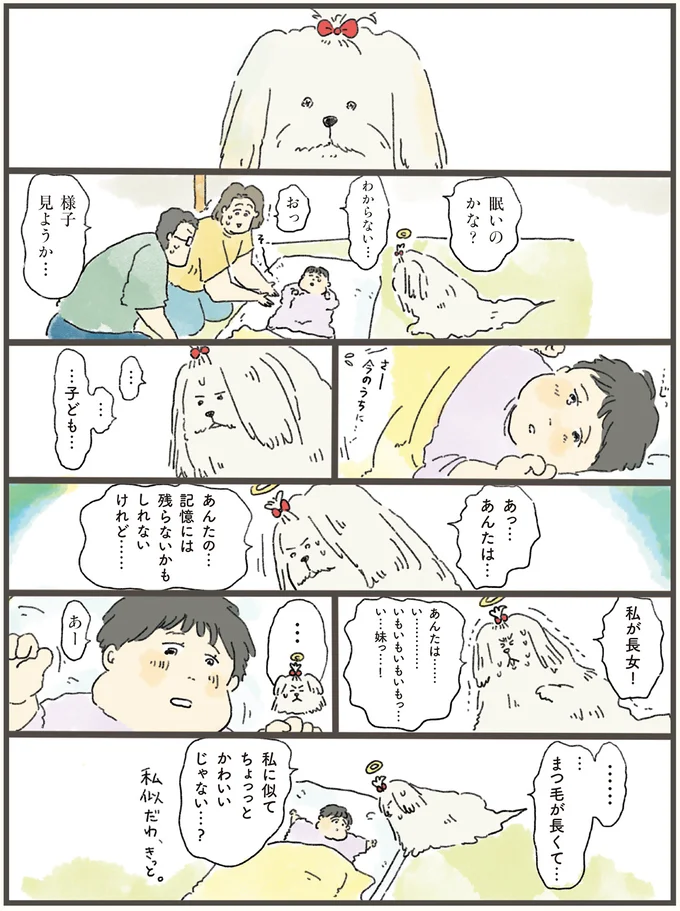 「え、誰？」天国にいる犬が、1日だけ飼い主夫婦の元へ。そこで見たものは...！／天国での暮らしはどうですか（8）