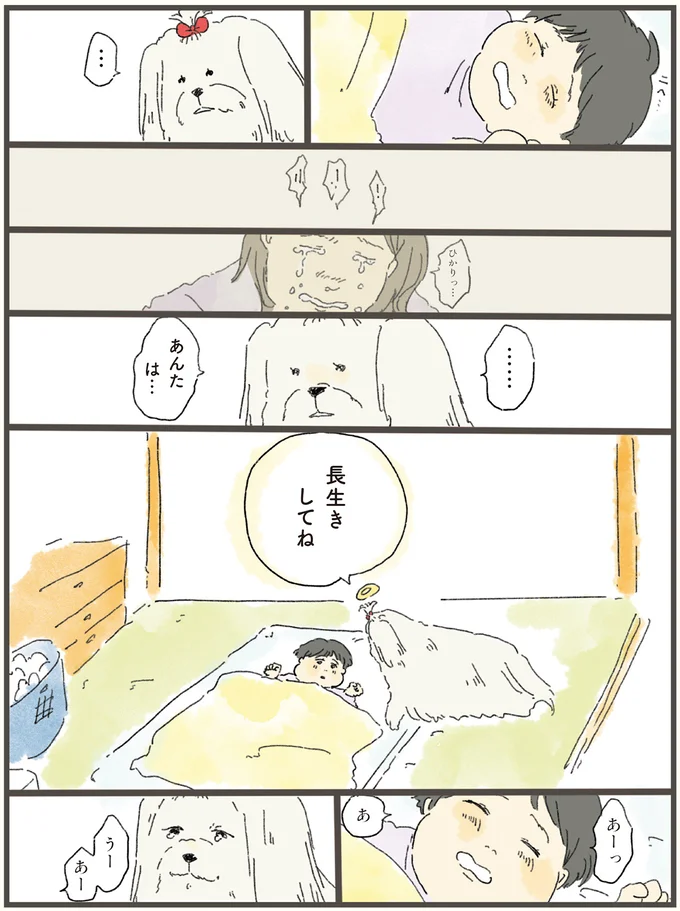 「え、誰？」天国にいる犬が、1日だけ飼い主夫婦の元へ。そこで見たものは...！／天国での暮らしはどうですか（9）
