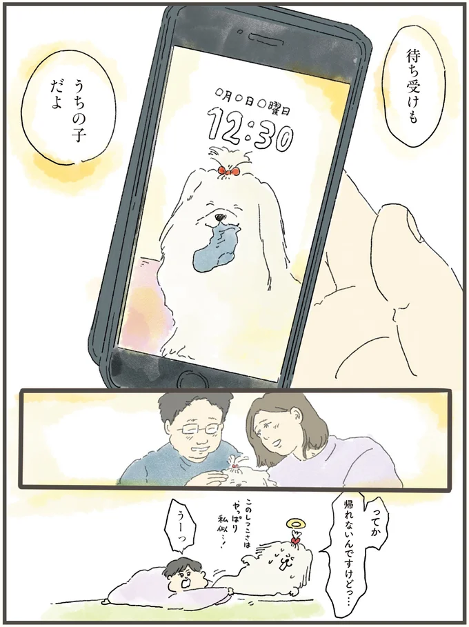 「え、誰？」天国にいる犬が、1日だけ飼い主夫婦の元へ。そこで見たものは...！／天国での暮らしはどうですか（11）