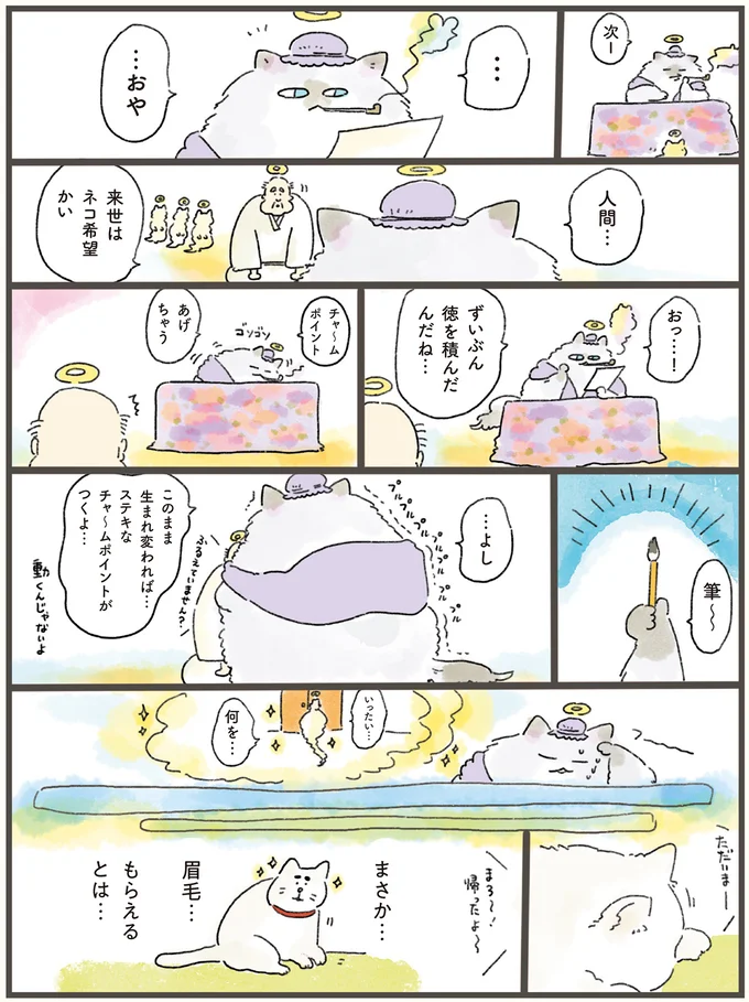 来世はネコ希望の人間。徳を積んでいたからもらえたチャームポイントは...これ？／天国での暮らしはどうですか（3）