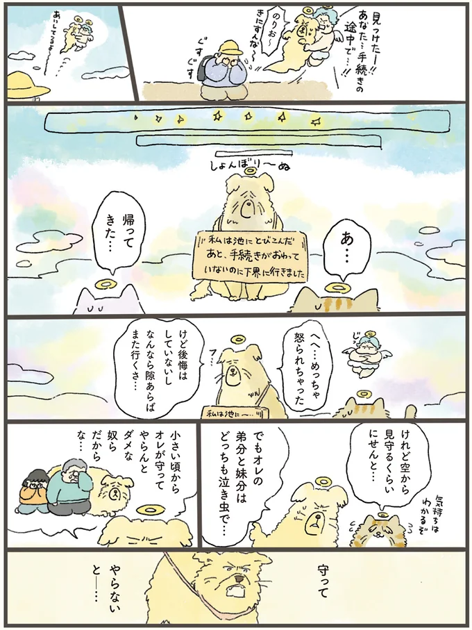 「オレが守ってやらんと！」天国から泣き虫兄妹を見守る大型犬。その後に...／天国での暮らしはどうですか（6）