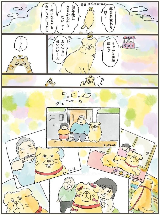 「オレが守ってやらんと！」天国から泣き虫兄妹を見守る大型犬。その後に...／天国での暮らしはどうですか（10）