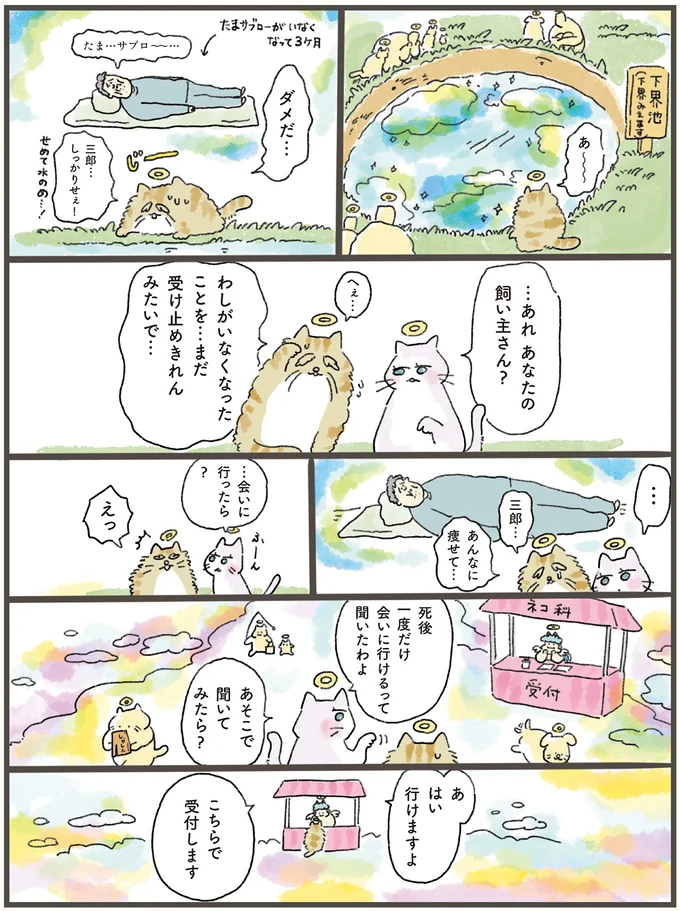 猫の死後、寝込み続ける飼い主の元へ。魂だけ会いに行った老猫が「伝えたこと」／天国での暮らしはどうですか（2）