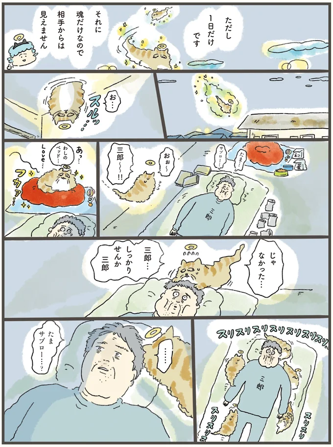 猫の死後、寝込み続ける飼い主の元へ。魂だけ会いに行った老猫が「伝えたこと」／天国での暮らしはどうですか（3）