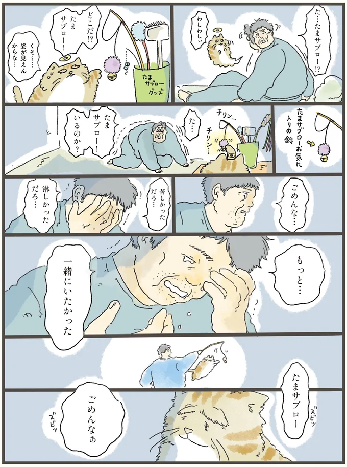 猫の死後、寝込み続ける飼い主の元へ。魂だけ会いに行った老猫が「伝えたこと」／天国での暮らしはどうですか（4）
