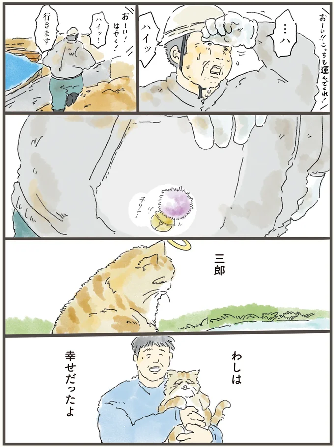 猫の死後、寝込み続ける飼い主の元へ。魂だけ会いに行った老猫が「伝えたこと」／天国での暮らしはどうですか（6）