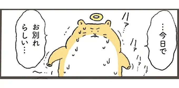 「まだ渡るわけには」。虹の橋を逆走するハムスターが飼い主に「伝えたかったこと」／天国での暮らしはどうですか2（1）