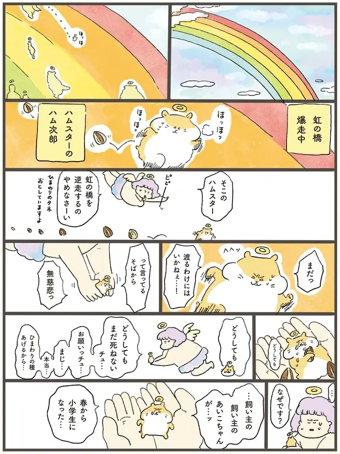 「まだ渡るわけには」。虹の橋を逆走するハムスターが飼い主に「伝えたかったこと」／天国での暮らしはどうですか2（2）