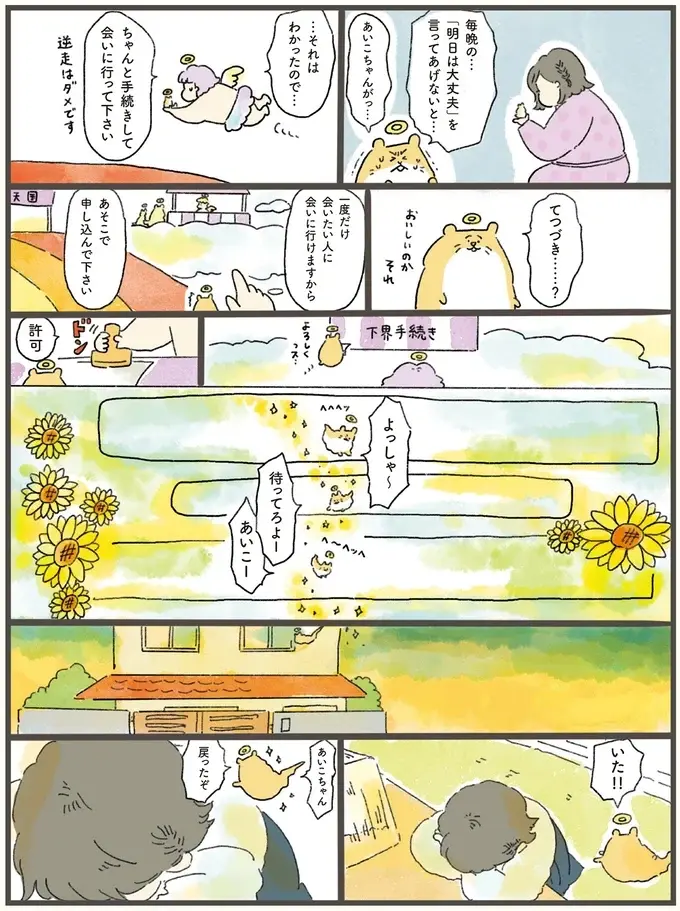 「まだ渡るわけには」。虹の橋を逆走するハムスターが飼い主に「伝えたかったこと」／天国での暮らしはどうですか2（4）