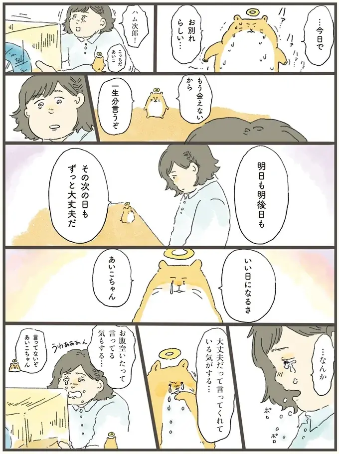 「まだ渡るわけには」。虹の橋を逆走するハムスターが飼い主に「伝えたかったこと」／天国での暮らしはどうですか2（6）