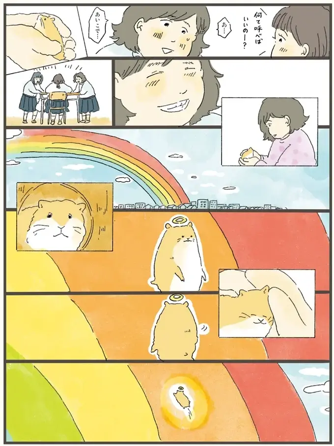 「まだ渡るわけには」。虹の橋を逆走するハムスターが飼い主に「伝えたかったこと」／天国での暮らしはどうですか2（8）