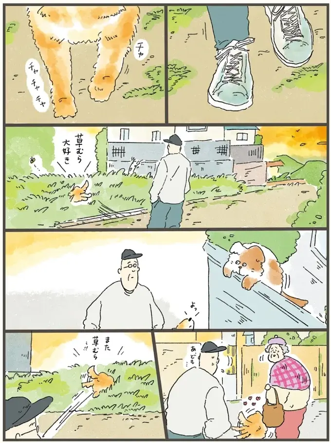 「もしかしたら...どこからかひょっこり」。亡き愛犬との散歩道を歩く飼い主／天国での暮らしはどうですか2（2）