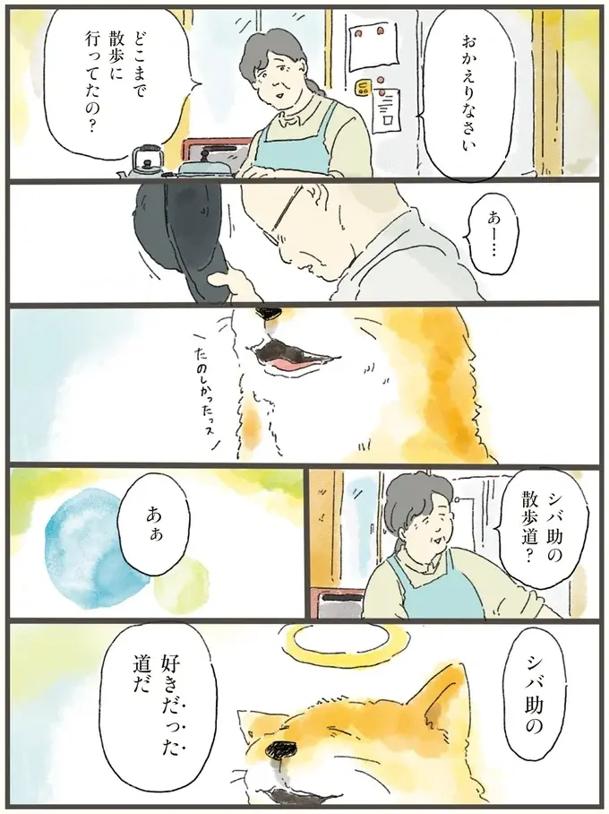 「もしかしたら...どこからかひょっこり」。亡き愛犬との散歩道を歩く飼い主／天国での暮らしはどうですか2（4）