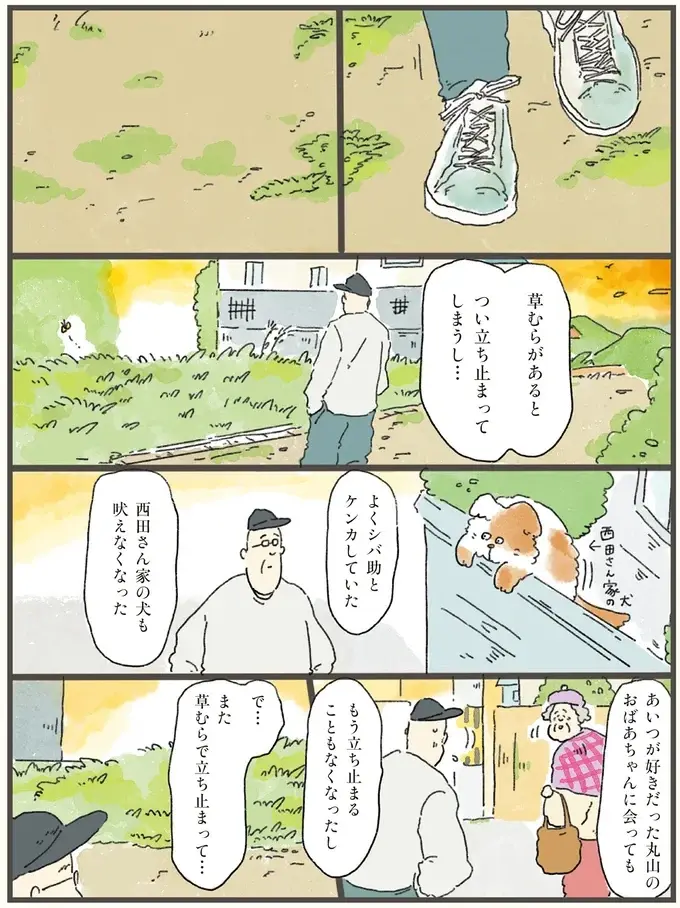 「もしかしたら...どこからかひょっこり」。亡き愛犬との散歩道を歩く飼い主／天国での暮らしはどうですか2（5）