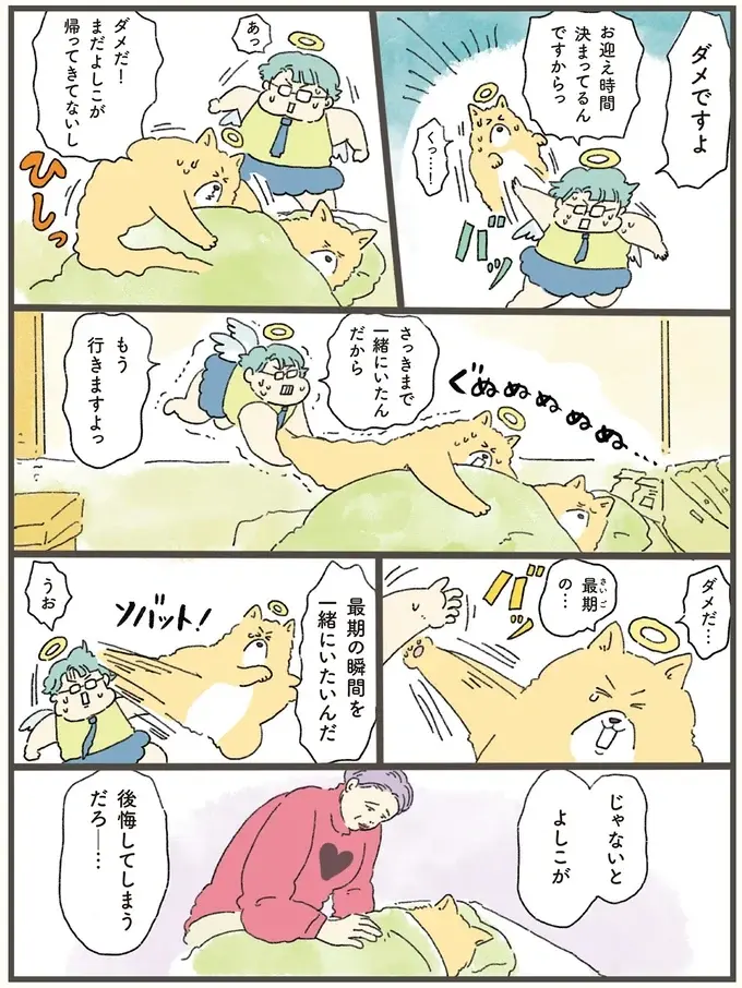 寿命を迎えた犬。最期にどうしても飼い主と過ごしたいと...／天国での暮らしはどうですか2（3）