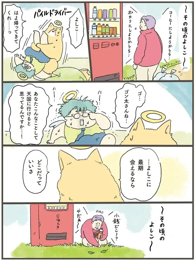 寿命を迎えた犬。最期にどうしても飼い主と過ごしたいと...／天国での暮らしはどうですか2（4）