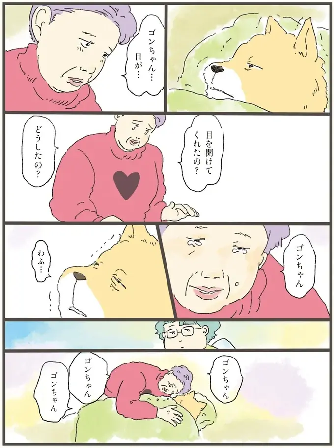寿命を迎えた犬。最期にどうしても飼い主と過ごしたいと...／天国での暮らしはどうですか2（6）