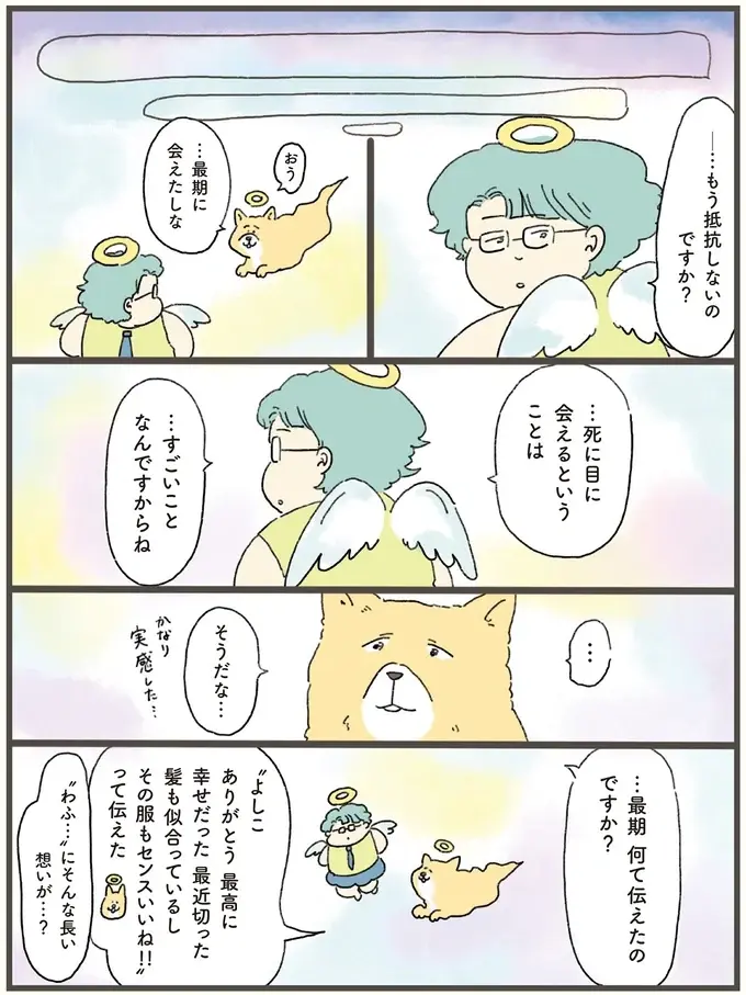 寿命を迎えた犬。最期にどうしても飼い主と過ごしたいと...／天国での暮らしはどうですか2（7）