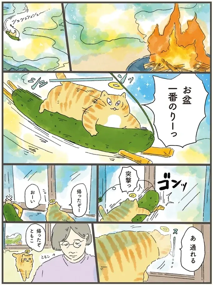 お盆に天国から飼い主の元へ帰った猫。水やベッドもそのまま残っていた「理由」は／天国での暮らしはどうですか2（2）