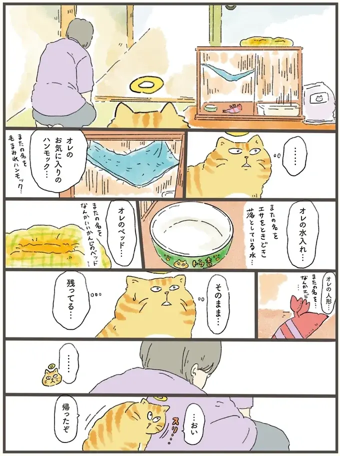 お盆に天国から飼い主の元へ帰った猫。水やベッドもそのまま残っていた「理由」は／天国での暮らしはどうですか2（3）