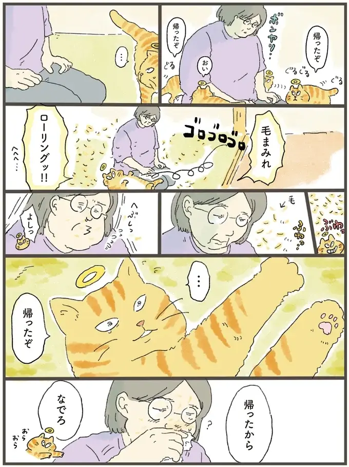 お盆に天国から飼い主の元へ帰った猫。水やベッドもそのまま残っていた「理由」は／天国での暮らしはどうですか2（4）