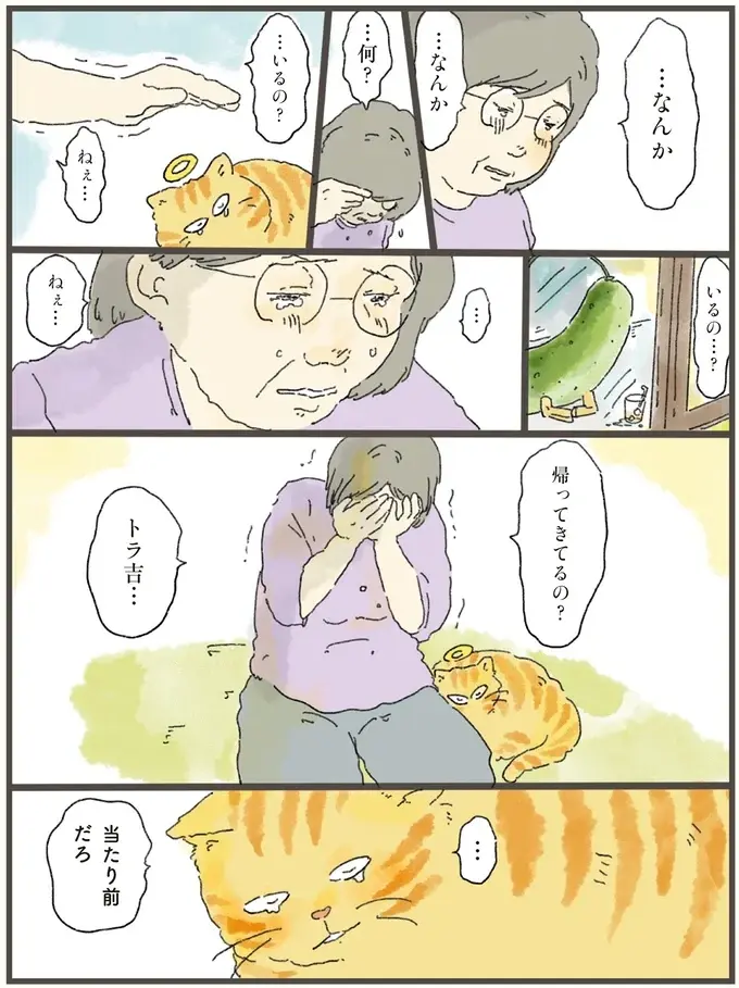 お盆に天国から飼い主の元へ帰った猫。水やベッドもそのまま残っていた「理由」は／天国での暮らしはどうですか2（5）