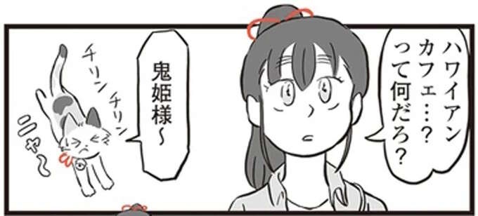 鬼姫様と三毛猫がハワイアンカフェ初体験。ん？ 置物が泣いてる？／鬼姫神社通り商店街（1）