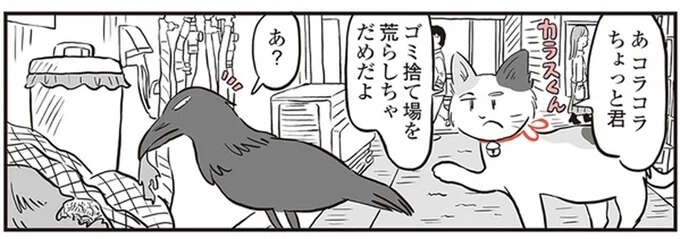 鬼姫様の弟子の三毛猫がパトロール。ゴミを散らかすカラスに注意したら!?／鬼姫神社通り商店街（1）