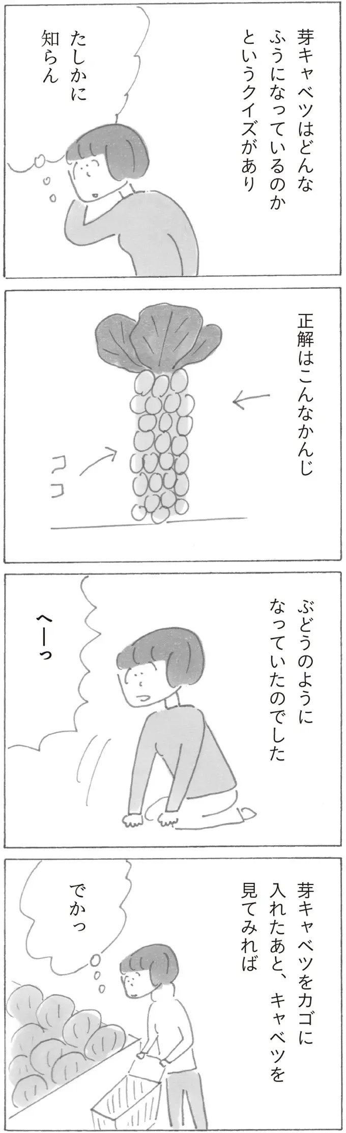 『スーパーマーケット宇宙』（4）