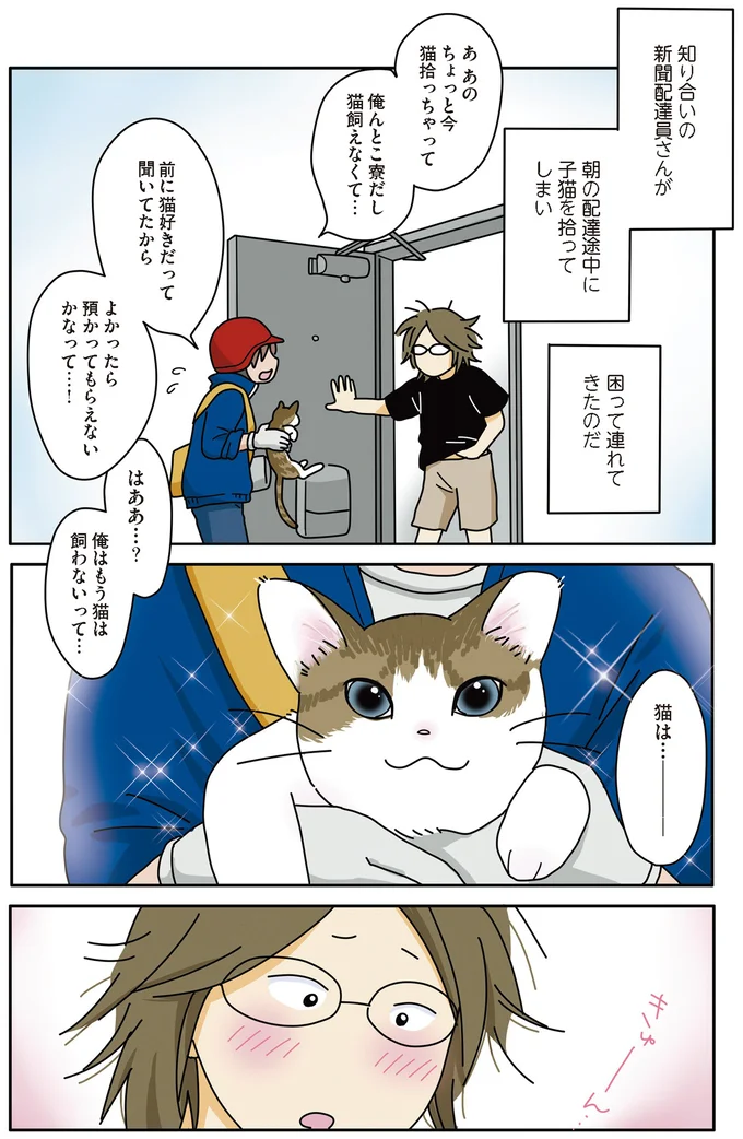 ある日、「保護された子猫」が現れた...「猫はもう飼わない」と決めていたけれど／世界一幸せな飼い主にしてくれた猫（4）