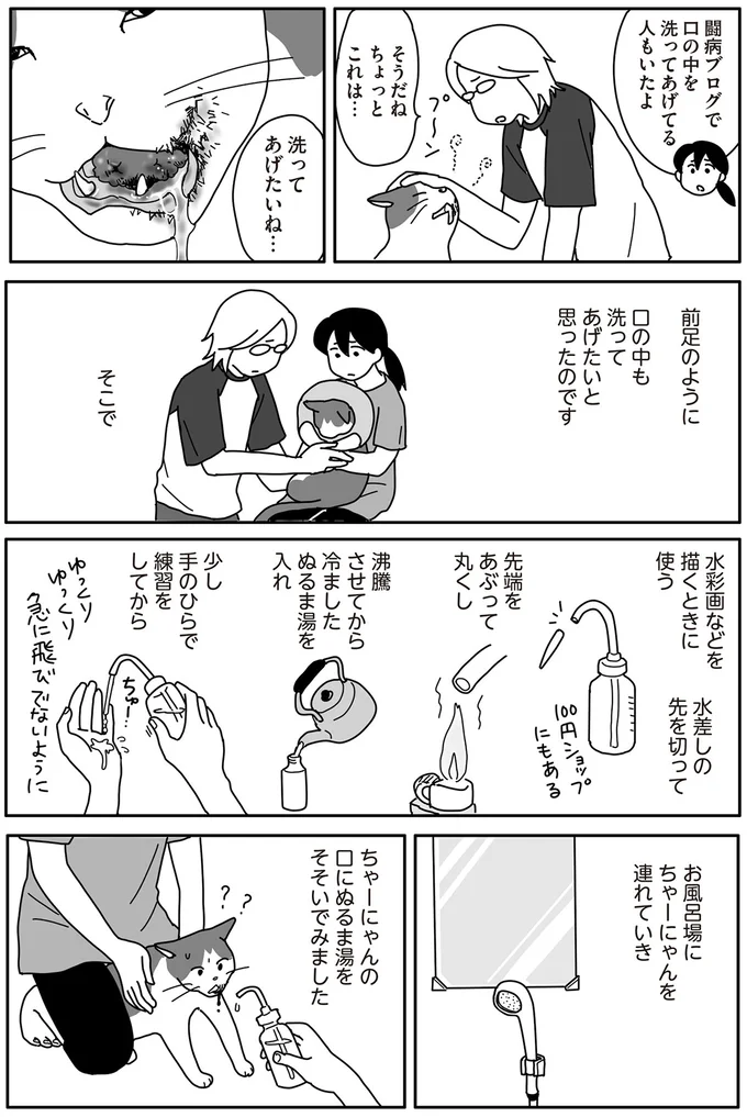 ついに始まった猫のガンの「自壊」。血だらけの口を洗ってあげたくて／世界一幸せな飼い主にしてくれた猫（5）