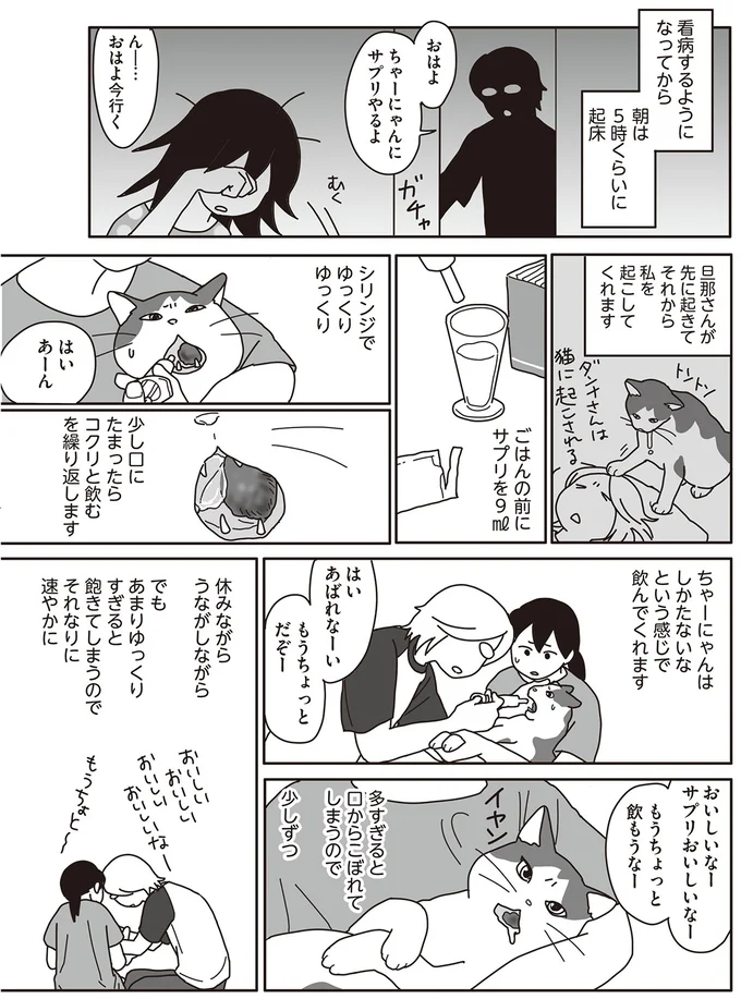 朝5時から飼い猫の看病。よだれ対策にカラーをつけてもらうことに／世界一幸せな飼い主にしてくれた猫（2）