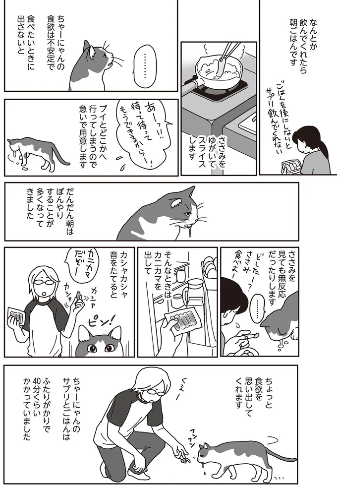 朝5時から飼い猫の看病。よだれ対策にカラーをつけてもらうことに／世界一幸せな飼い主にしてくれた猫（3）
