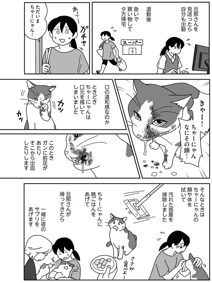 朝5時から飼い猫の看病。よだれ対策にカラーをつけてもらうことに／世界一幸せな飼い主にしてくれた猫（4）