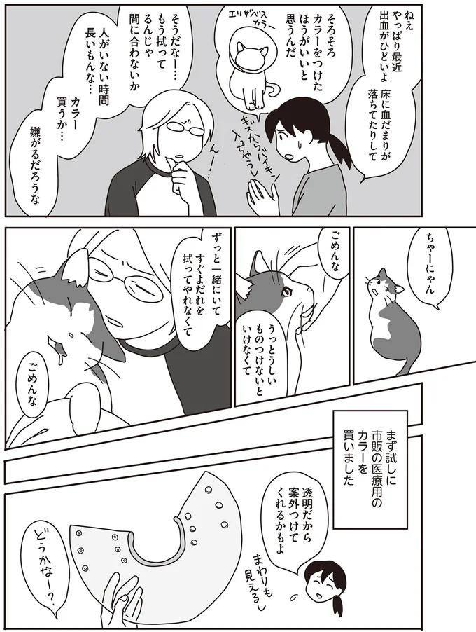朝5時から飼い猫の看病。よだれ対策にカラーをつけてもらうことに／世界一幸せな飼い主にしてくれた猫（5）