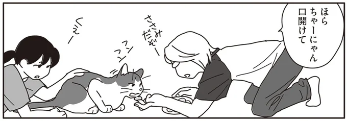 飼い猫の口内のガンが大きくなって。食事に試行錯誤する飼い主／世界一幸せな飼い主にしてくれた猫（1）