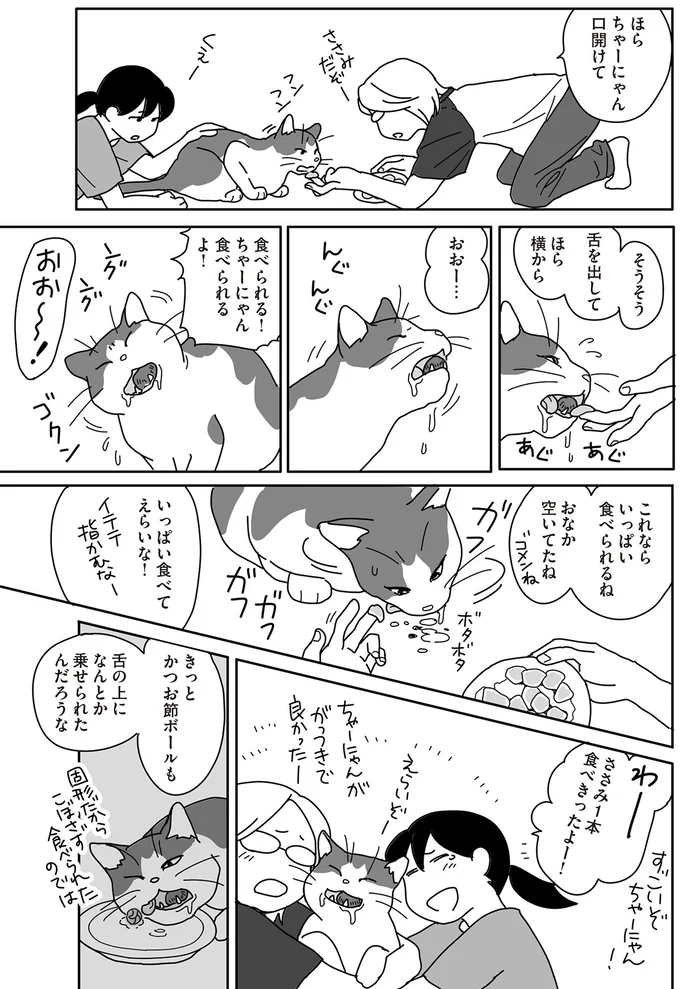 飼い猫の口内のガンが大きくなって。食事に試行錯誤する飼い主／世界一幸せな飼い主にしてくれた猫（6）