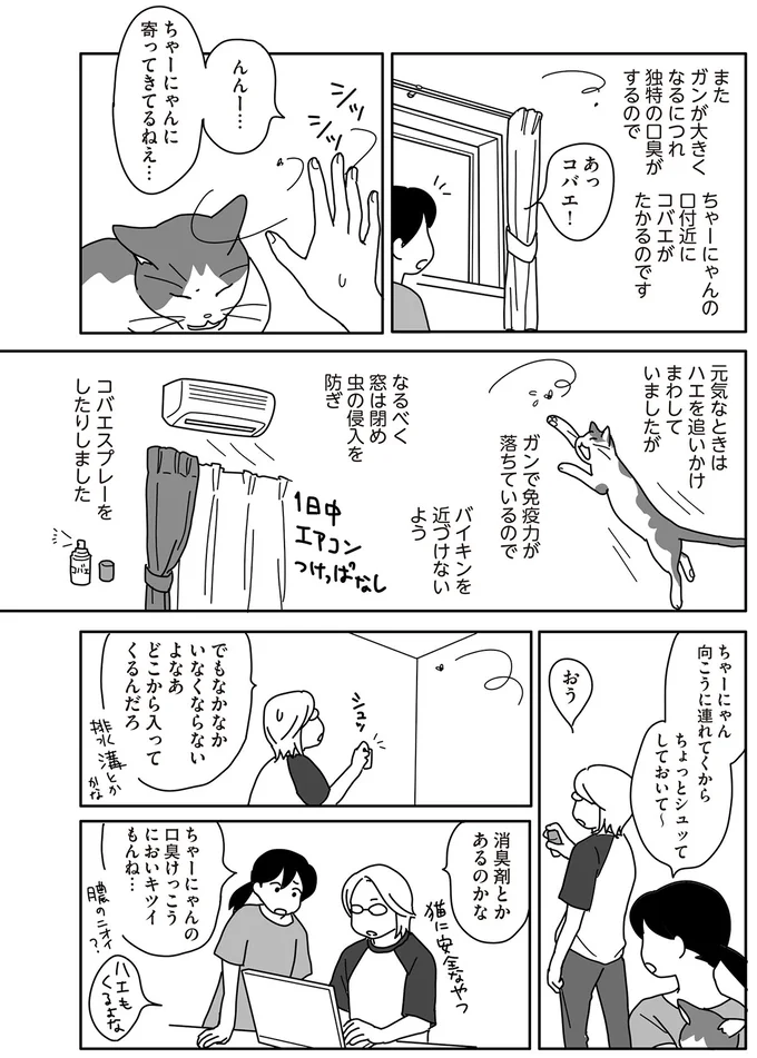 ガンで余命3カ月の猫のために。夫婦で取り組んだ看病の始まり／世界一幸せな飼い主にしてくれた猫（4）