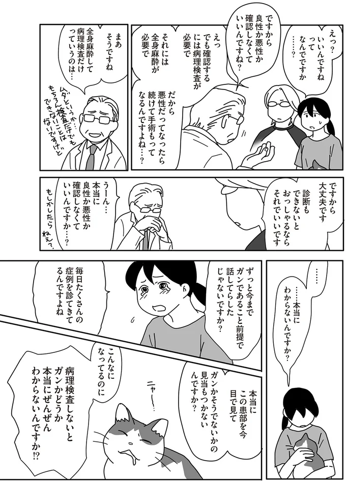 「手術すれば半年は持ちます」と偉い獣医。それを聞いた猫の飼い主は...／世界一幸せな飼い主にしてくれた猫（5）