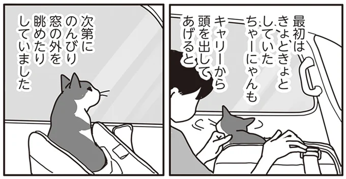 飼い猫をガン専門病院へ。飼い主にとって残酷すぎる獣医からの提案／世界一幸せな飼い主にしてくれた猫（1）