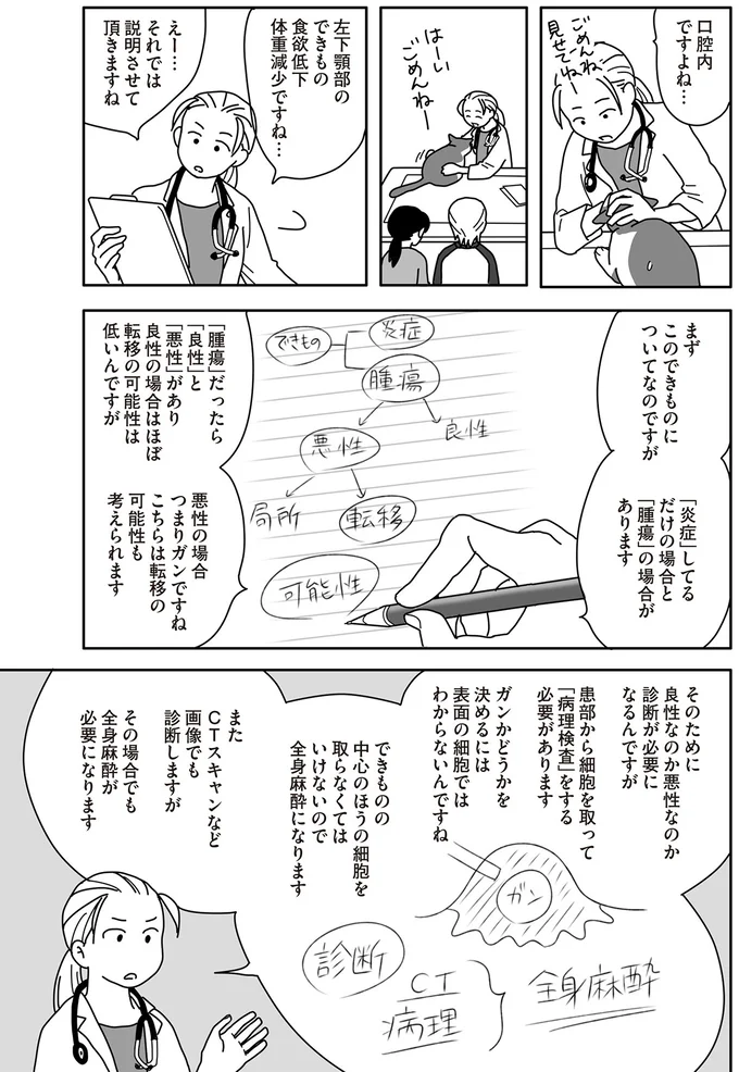 飼い猫をガン専門病院へ。飼い主にとって残酷すぎる獣医からの提案／世界一幸せな飼い主にしてくれた猫（4）
