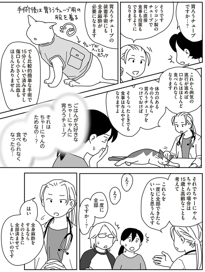 飼い猫をガン専門病院へ。飼い主にとって残酷すぎる獣医からの提案／世界一幸せな飼い主にしてくれた猫（6）