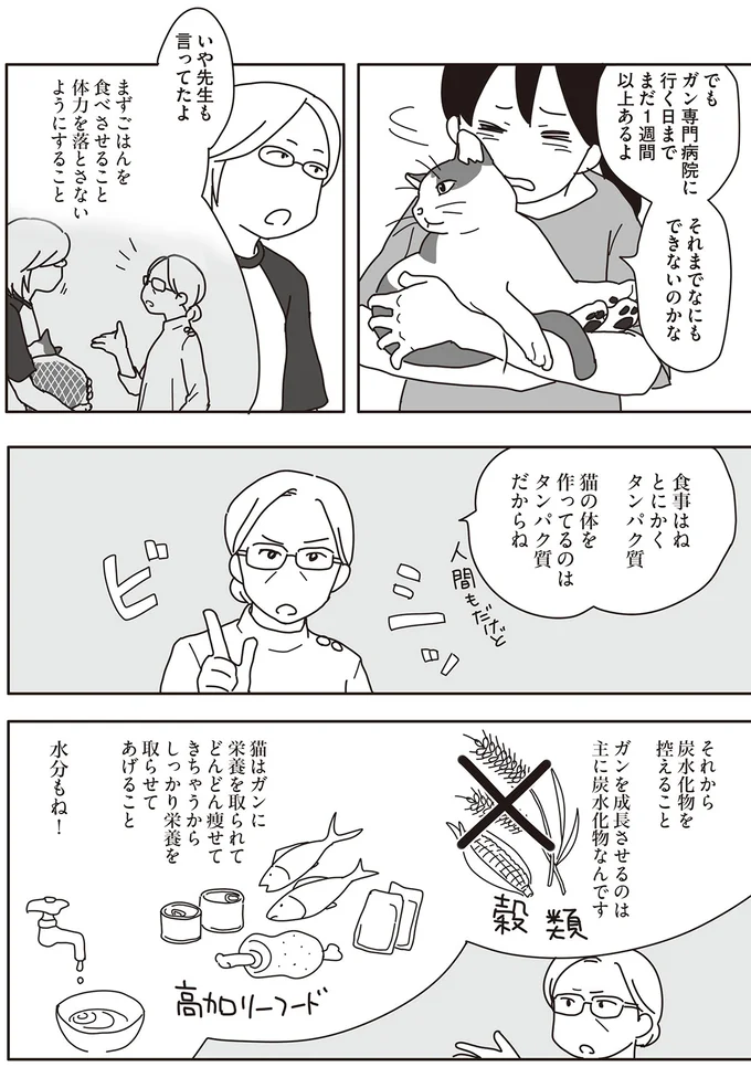 口内にガンが見つかった飼い猫。次第に食べづらそうになり...／世界一幸せな飼い主にしてくれた猫（3）
