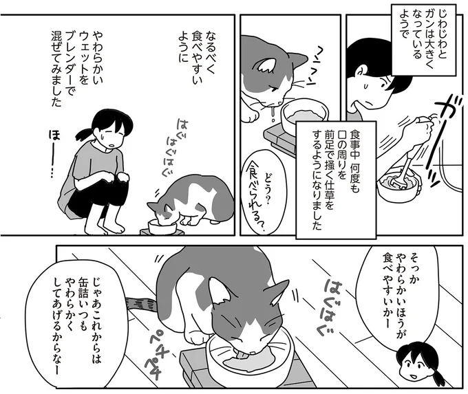 口内にガンが見つかった飼い猫。次第に食べづらそうになり...／世界一幸せな飼い主にしてくれた猫（6）