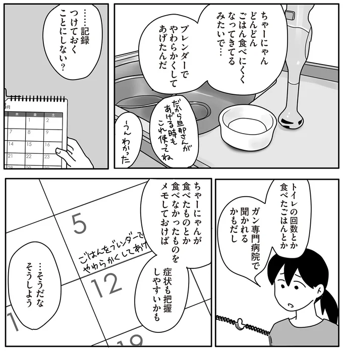 口内にガンが見つかった飼い猫。次第に食べづらそうになり...／世界一幸せな飼い主にしてくれた猫（7）