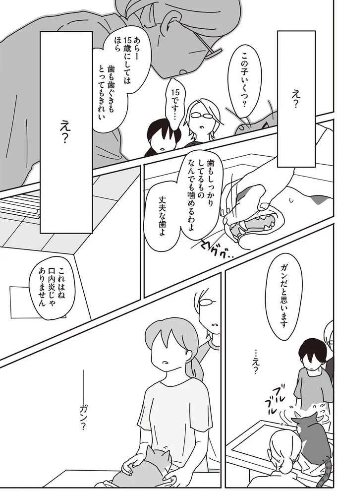 「あー、これは...」猫の口内を一目見た獣医が受診を進めた専門病院は...／世界一幸せな飼い主にしてくれた猫（3）